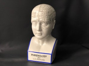 Phrenology head