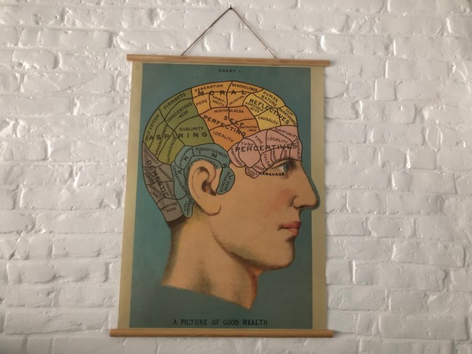 Cavallini poster phrenology